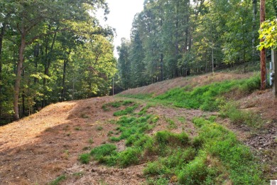 Lake Lot For Sale in Gilbertsville, Kentucky