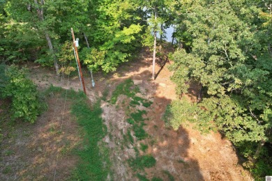 Waterfront lot on Kentucky Lake near Moors Resort, Kentucky Dam - photo 2