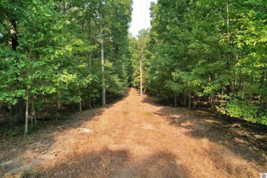 Waterfront lot on Kentucky Lake near Moors Resort, Kentucky Dam - photo 3