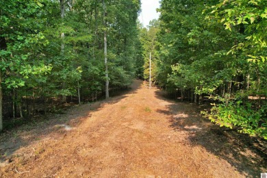 Waterfront lot on Kentucky Lake near Moors Resort, Kentucky Dam - photo 5