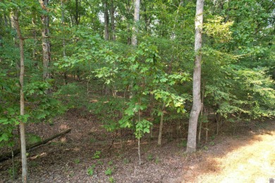 Waterfront lot on Kentucky Lake near Moors Resort, Kentucky Dam - photo 7