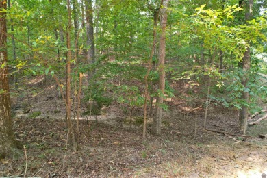Waterfront lot on Kentucky Lake near Moors Resort, Kentucky Dam - photo 9