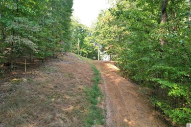 Waterfront lot on Kentucky Lake near Moors Resort, Kentucky Dam - photo 10