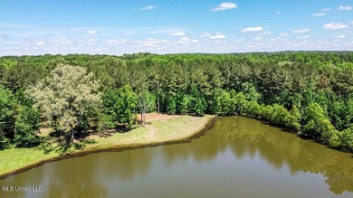 Experience true Southern charm in this stunning 6,437 sq ft - photo 56