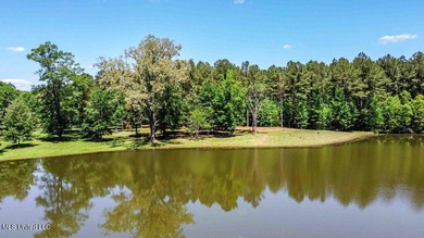 Experience true Southern charm in this stunning 6,437 sq ft - photo 58