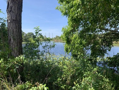 Discover the potential of this expansive land property located - photo 2