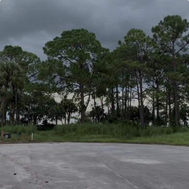 Discover the potential of this expansive land property located - photo 5