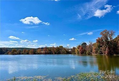 This Amazing 9.66 Ac. *Land Mark* Property steeped in rich - photo 3