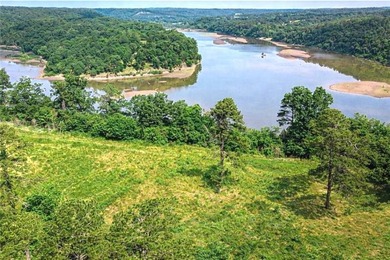 (private lake, pond, creek) Acreage For Sale in Hindsville Arkansas