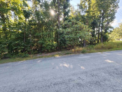 This is a must-see gorgeous Corner Lot- Golf Course Lot, backing - photo 12