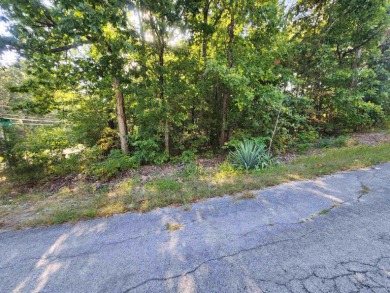 This is a must-see gorgeous Corner Lot- Golf Course Lot, backing - photo 15