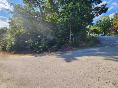 This is a must-see gorgeous Corner Lot- Golf Course Lot, backing - photo 17
