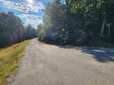 This is a must-see gorgeous Corner Lot- Golf Course Lot, backing - photo 18