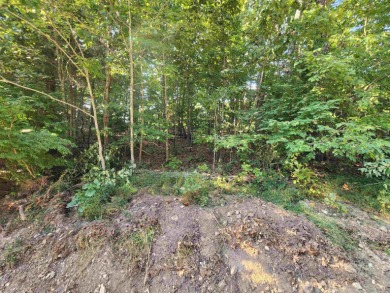 This is a must-see gorgeous Corner Lot- Golf Course Lot, backing - photo 19