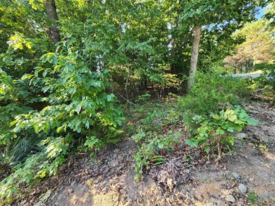 This is a must-see gorgeous Corner Lot- Golf Course Lot, backing - photo 20