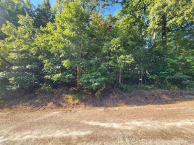 This is a must-see gorgeous Corner Lot- Golf Course Lot, backing - photo 21