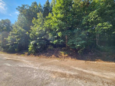 This is a must-see gorgeous Corner Lot- Golf Course Lot, backing - photo 23