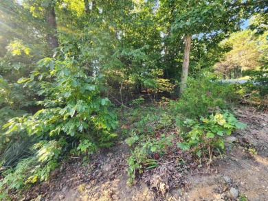 This is a must-see gorgeous Corner Lot- Golf Course Lot, backing - photo 24
