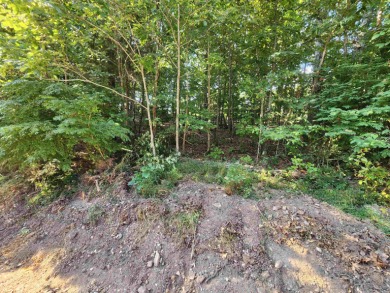 This is a must-see gorgeous Corner Lot- Golf Course Lot, backing - photo 25