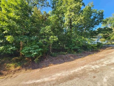 This is a must-see gorgeous Corner Lot- Golf Course Lot, backing - photo 26