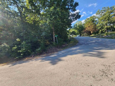 This is a must-see gorgeous Corner Lot- Golf Course Lot, backing - photo 27