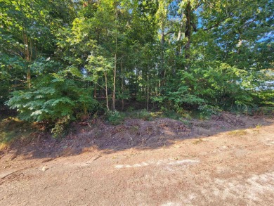 This is a must-see gorgeous Corner Lot- Golf Course Lot, backing - photo 28
