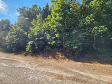 This is a must-see gorgeous Corner Lot- Golf Course Lot, backing - photo 29