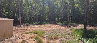 Lake Lot For Sale in Big Sandy, Tennessee