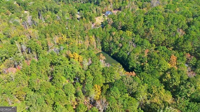 (private lake, pond, creek) Acreage For Sale in Chattahoochee Hills Georgia