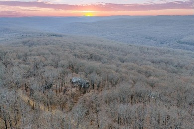 (private lake, pond, creek) Home For Sale in Winslow Arkansas