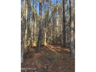 Lake Acreage For Sale in Mclain, Mississippi