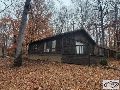 Lake Home For Sale in Springville, Tennessee