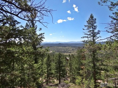 Panhandle Reservoir Lot For Sale in Red Feather Lakes Colorado