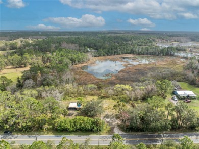 (private lake, pond, creek) Acreage Sale Pending in Geneva Florida