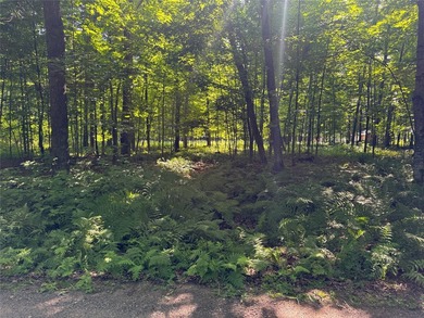 Build your Northwoods getaway on this beautiful waterfront lot - photo 11