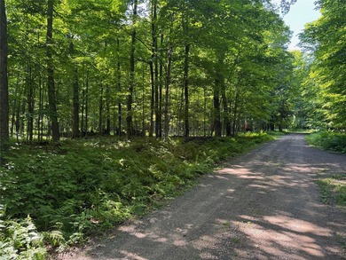 Build your Northwoods getaway on this beautiful waterfront lot - photo 13