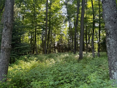Build your Northwoods getaway on this beautiful waterfront lot - photo 14