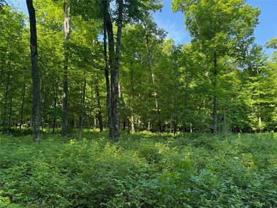 Build your Northwoods getaway on this beautiful waterfront lot - photo 16