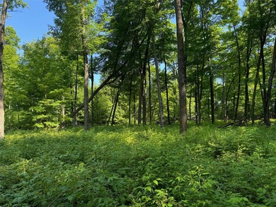 Build your Northwoods getaway on this beautiful waterfront lot - photo 17