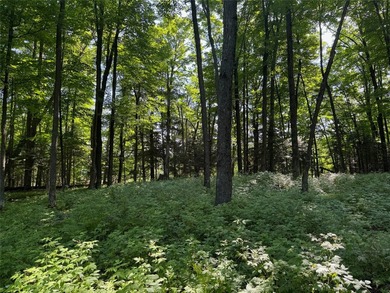 Build your Northwoods getaway on this beautiful waterfront lot - photo 18