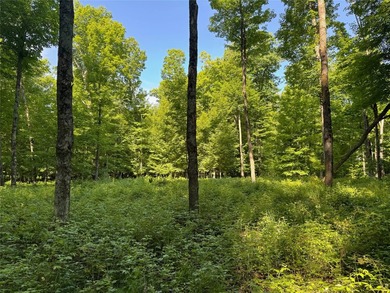 Build your Northwoods getaway on this beautiful waterfront lot - photo 19