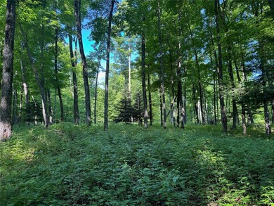 Build your Northwoods getaway on this beautiful waterfront lot - photo 20
