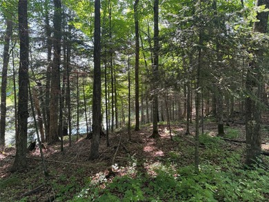 Build your Northwoods getaway on this beautiful waterfront lot - photo 21