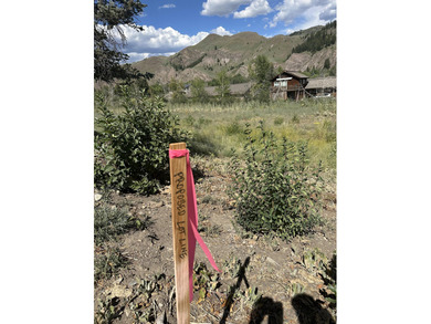 Big Wood River Lot For Sale in  Idaho