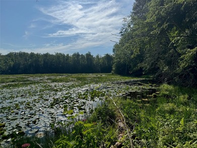Build your Northwoods getaway on this beautiful waterfront lot - photo 22