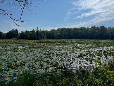 Build your Northwoods getaway on this beautiful waterfront lot - photo 23