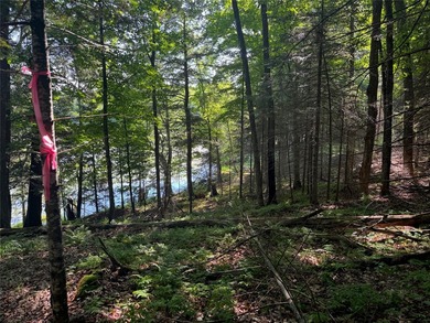 Build your Northwoods getaway on this beautiful waterfront lot - photo 24