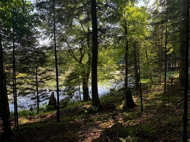 Build your Northwoods getaway on this beautiful waterfront lot - photo 26