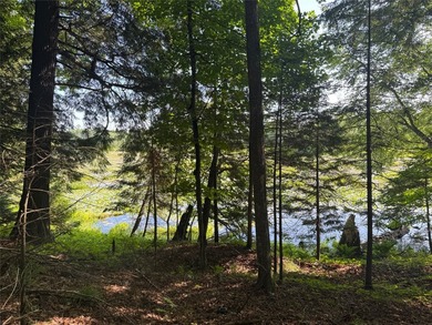 Build your Northwoods getaway on this beautiful waterfront lot - photo 27