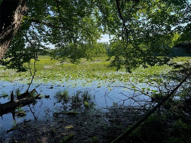 Build your Northwoods getaway on this beautiful waterfront lot - photo 28